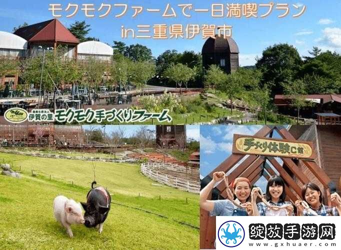 日本母亲农场特色农牧产品
