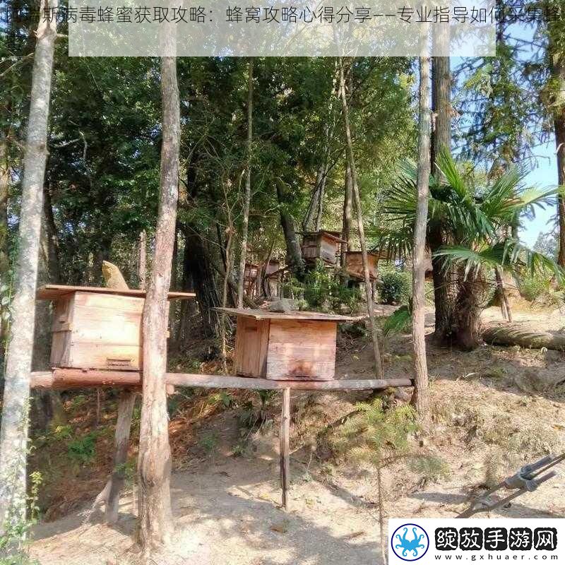 阿瑞斯病毒蜂蜜获取攻略