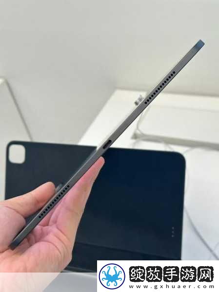 性系MACBOOK