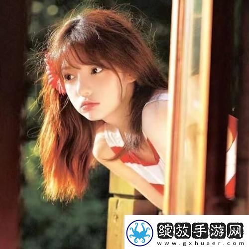 美国人与动物胶配方大全图片另类创意友