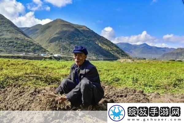 儿子耕种母亲的田地叫什么名字