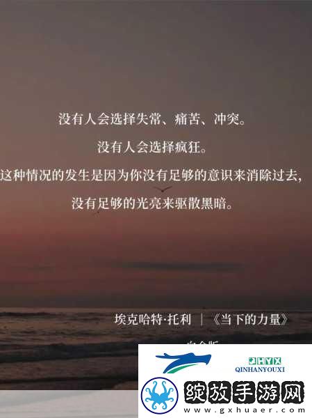 及时行乐HPO