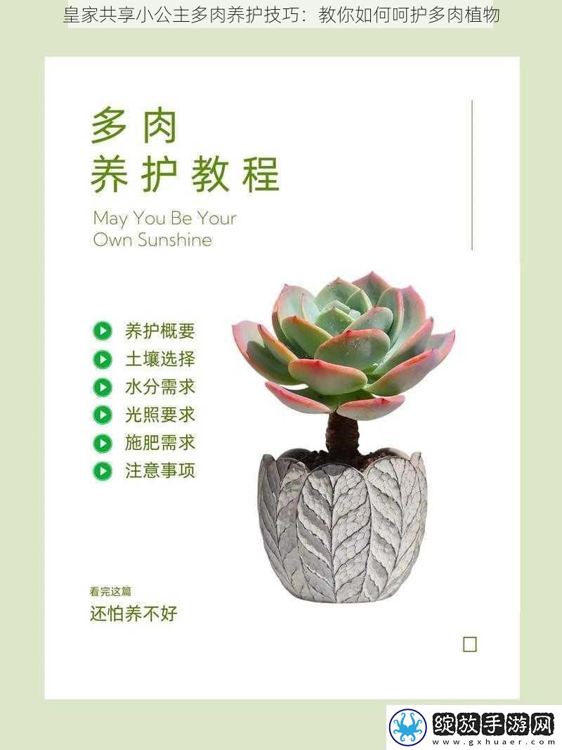 皇家共享小公主多肉养护技巧