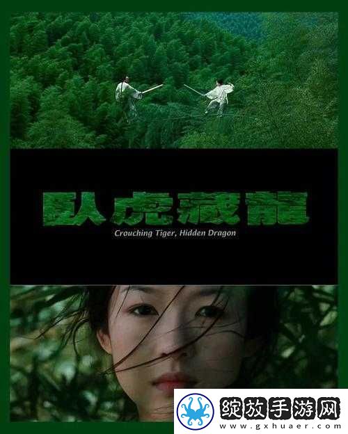 卧虎藏龙深度解析