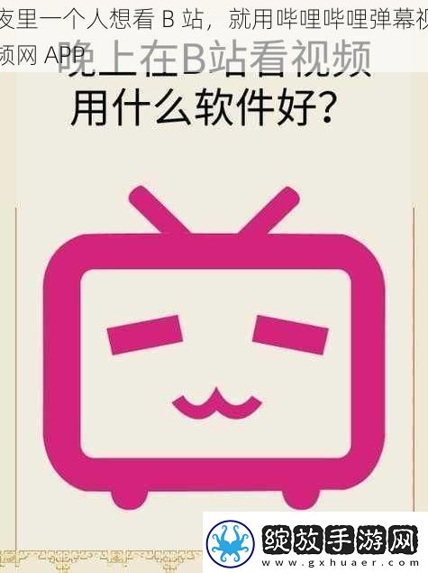 夜里一个人想看