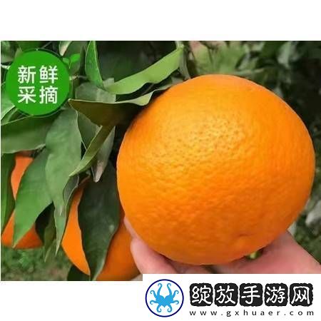 内容丰富采蜜1V.1H