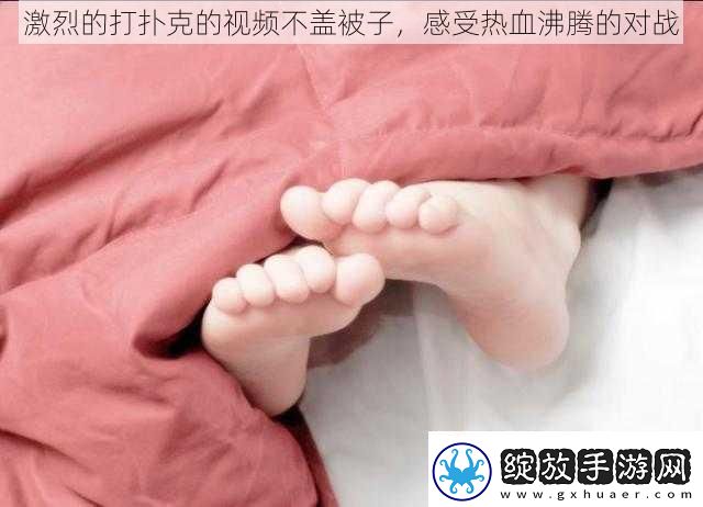 激烈的打扑克的视频不盖被子