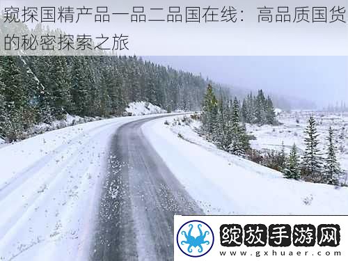 窥探国精产品一品二品国在线