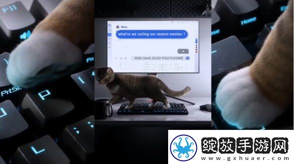 华硕ROG的猫咪乱踩键盘