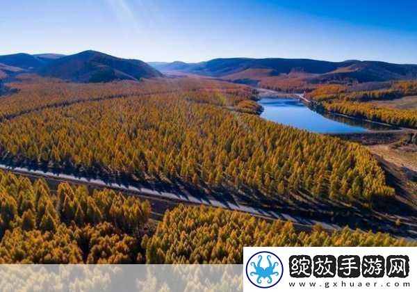 伊春园2022直达进入