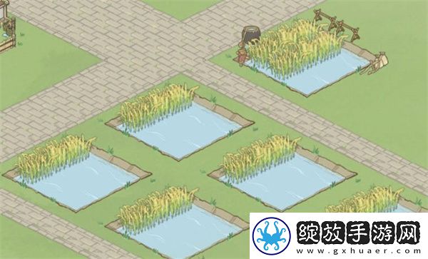 解忧小村落萌新开局策略