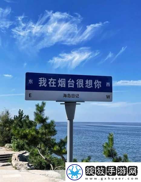 9幺老款