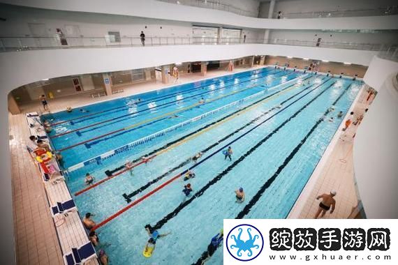 揭秘“游泳池的特殊待遇2”的魅力与影响柯林资讯