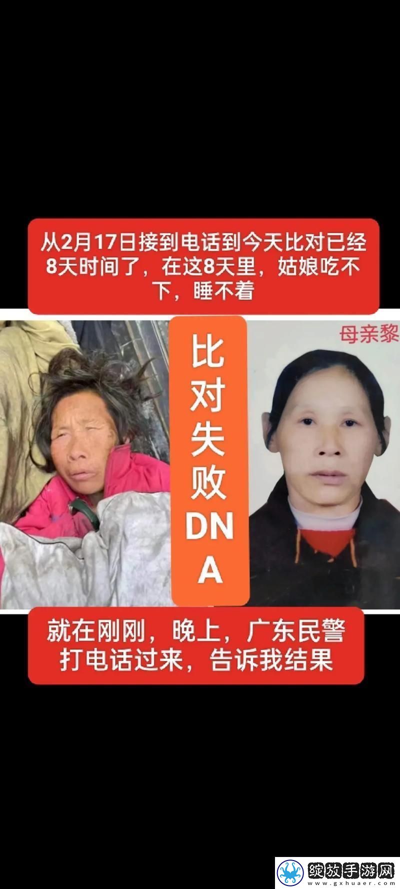 “DNA复制笑话