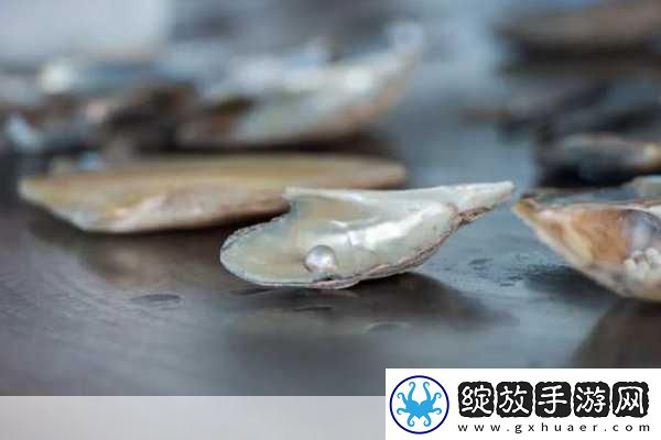 狂涨肥白的玲珑的肉蚌