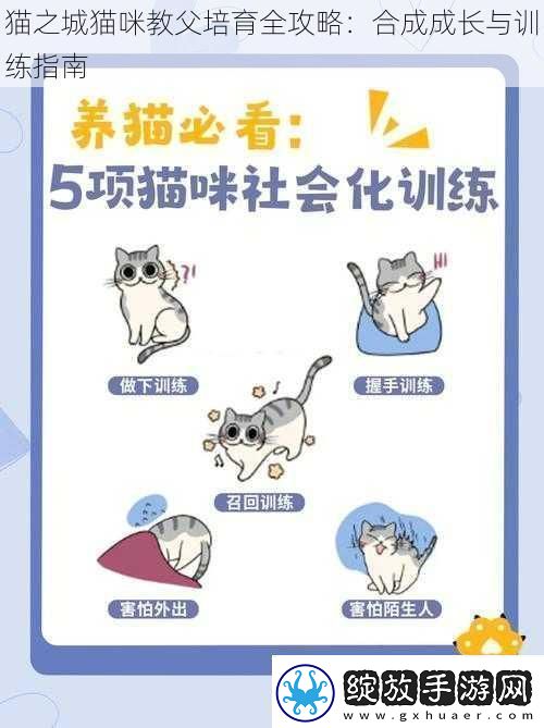 猫之城猫咪教父培育全攻略