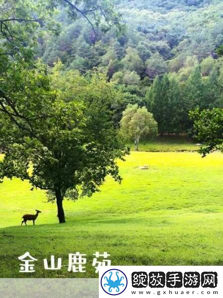 伊春园2022直达进入