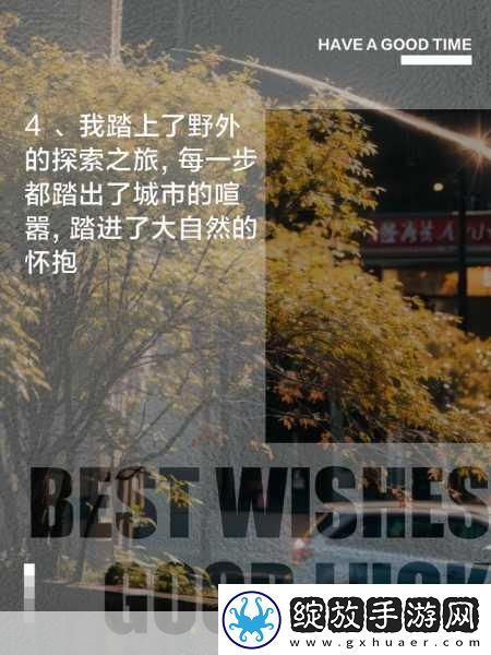 中国windows野外