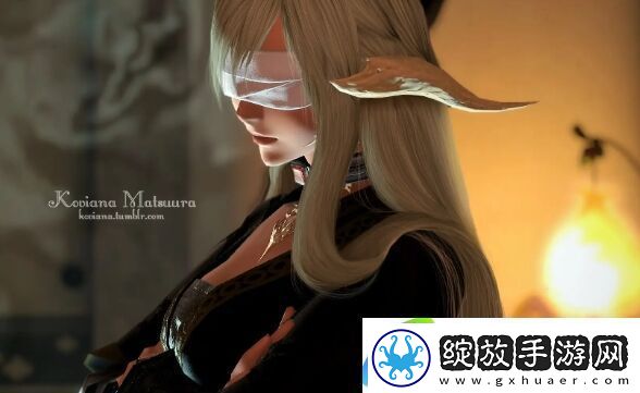 ff14贤炮是什么意思