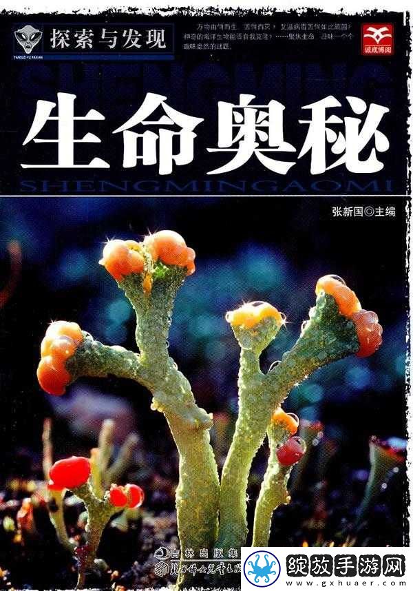 深度探索