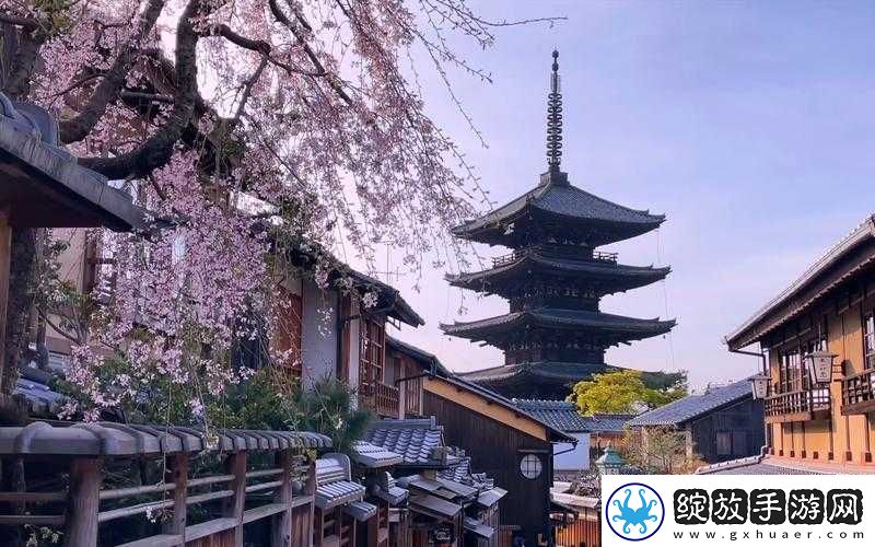 野花社区日本免费图片