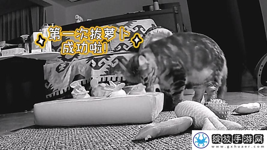 二人世界拔萝卜第8集