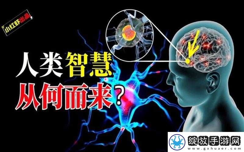 美国