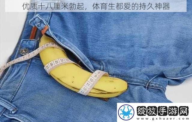 优质十八厘米勃起
