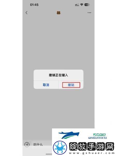 苹果手机软件锁设置全攻略