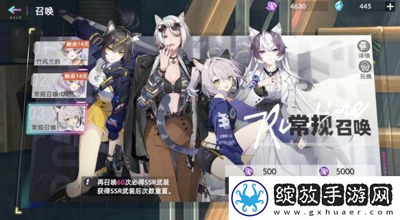 猫之城卡池怎么选