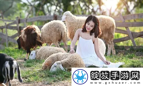 欧洲尺码日本尺码美国欧洲lv超全解析