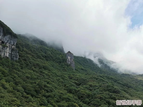 天堂√最新版中文在线天堂网友认为该平台提供了丰富的内容选择