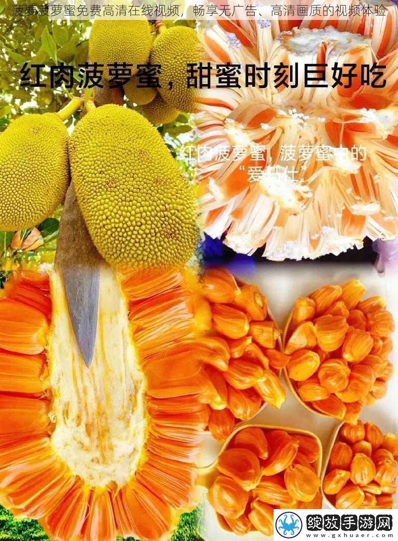 菠萝菠萝蜜免费高清在线视频