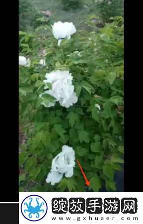剪映已删除视频怎么找回