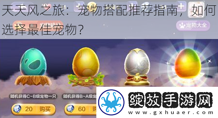天天风之旅