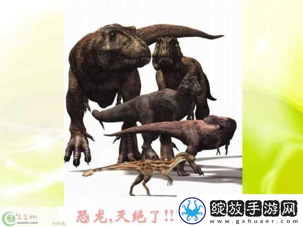 人与猪的DNA
