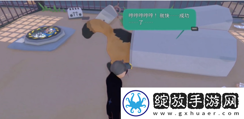 小猫咪大城市浣熊任务怎么做
