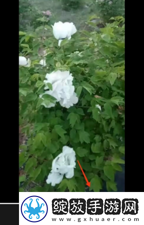 剪映已删除视频怎么找回