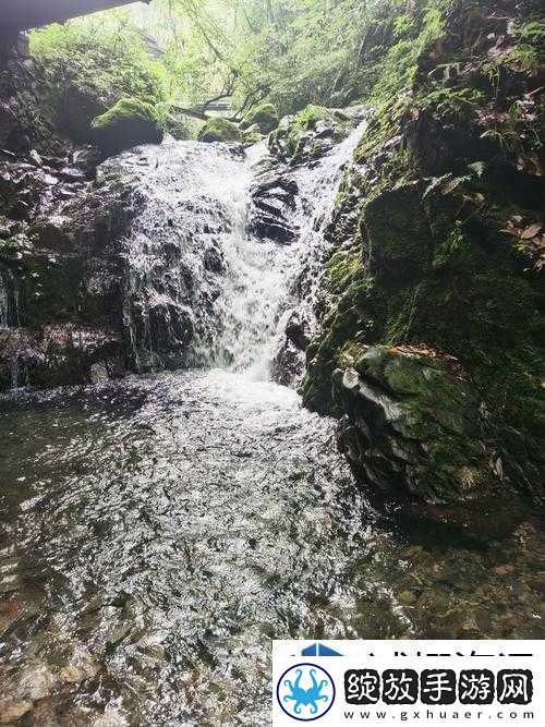 战队组建合作艺术