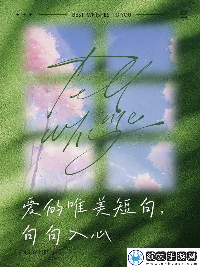 天天爱天天爱做