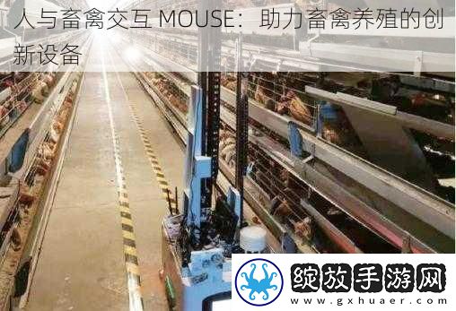 人与畜禽交互