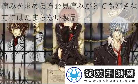 痛みを求める方必見痛みがとても好きな方にはたまらない製品