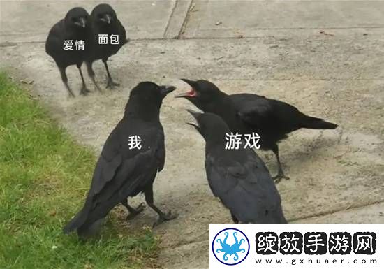 游戏囧图