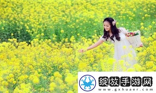 10款成品短视频app下载安装