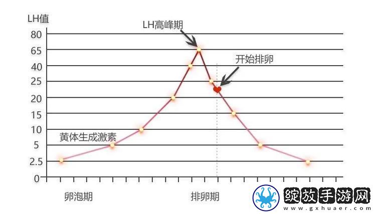 高能粒子碰撞