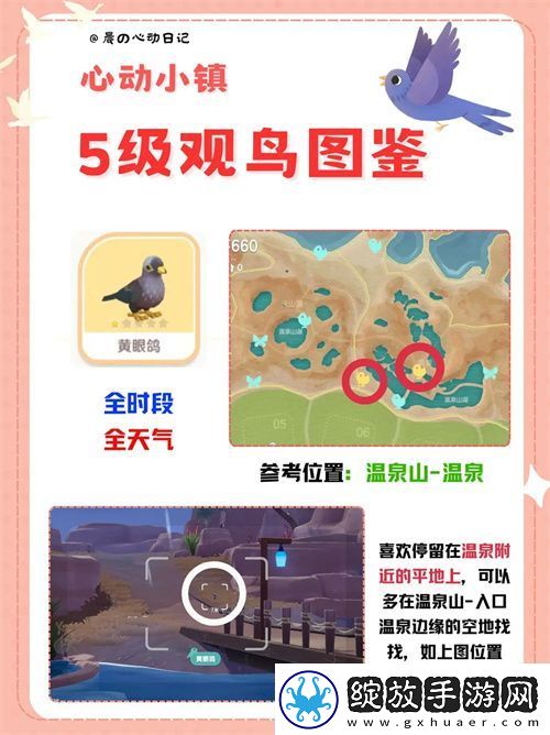 心动小镇五级观鸟详细位置整理一览