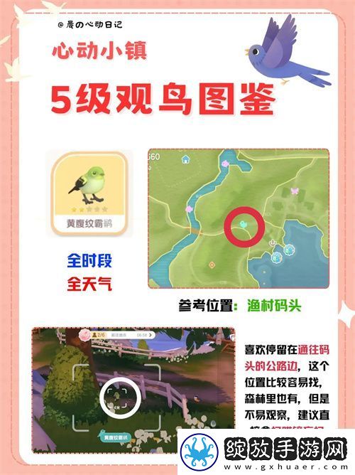 心动小镇五级观鸟详细位置整理一览