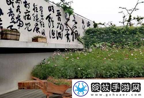 小青楼短视频
