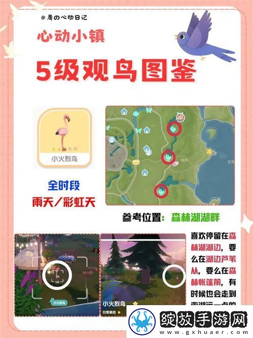心动小镇五级观鸟详细位置整理一览