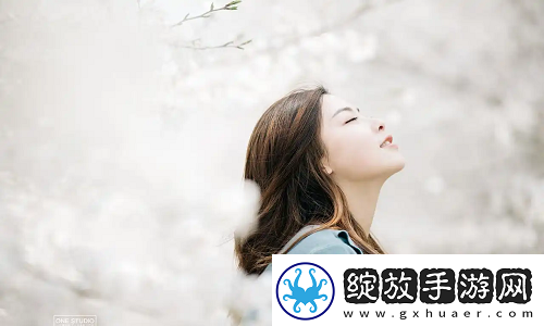 免费网站在线观看人数最多的省份有哪些